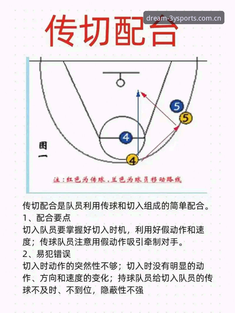 揭秘三亿体育竞技：高效整合与实战操作的深度解析